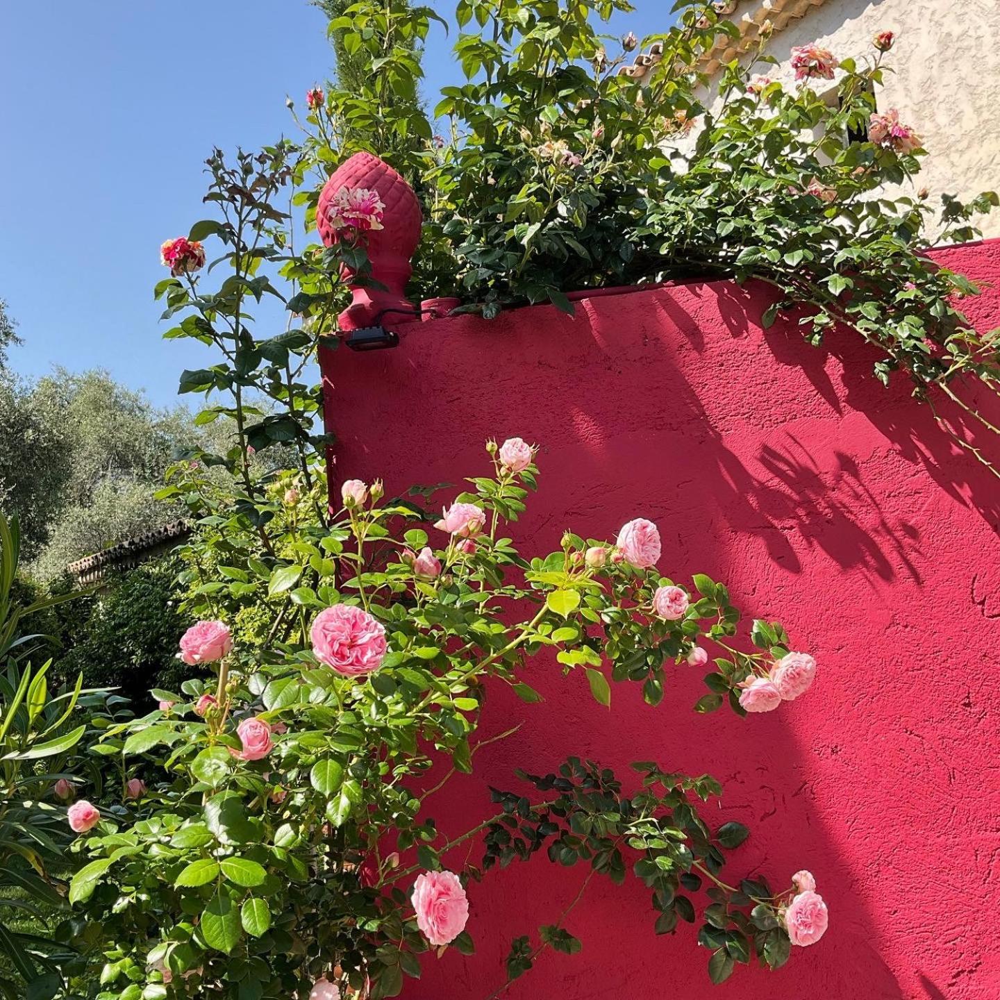 Mas De Provence En Riviera La Roquette-sur-Var Exterior foto
