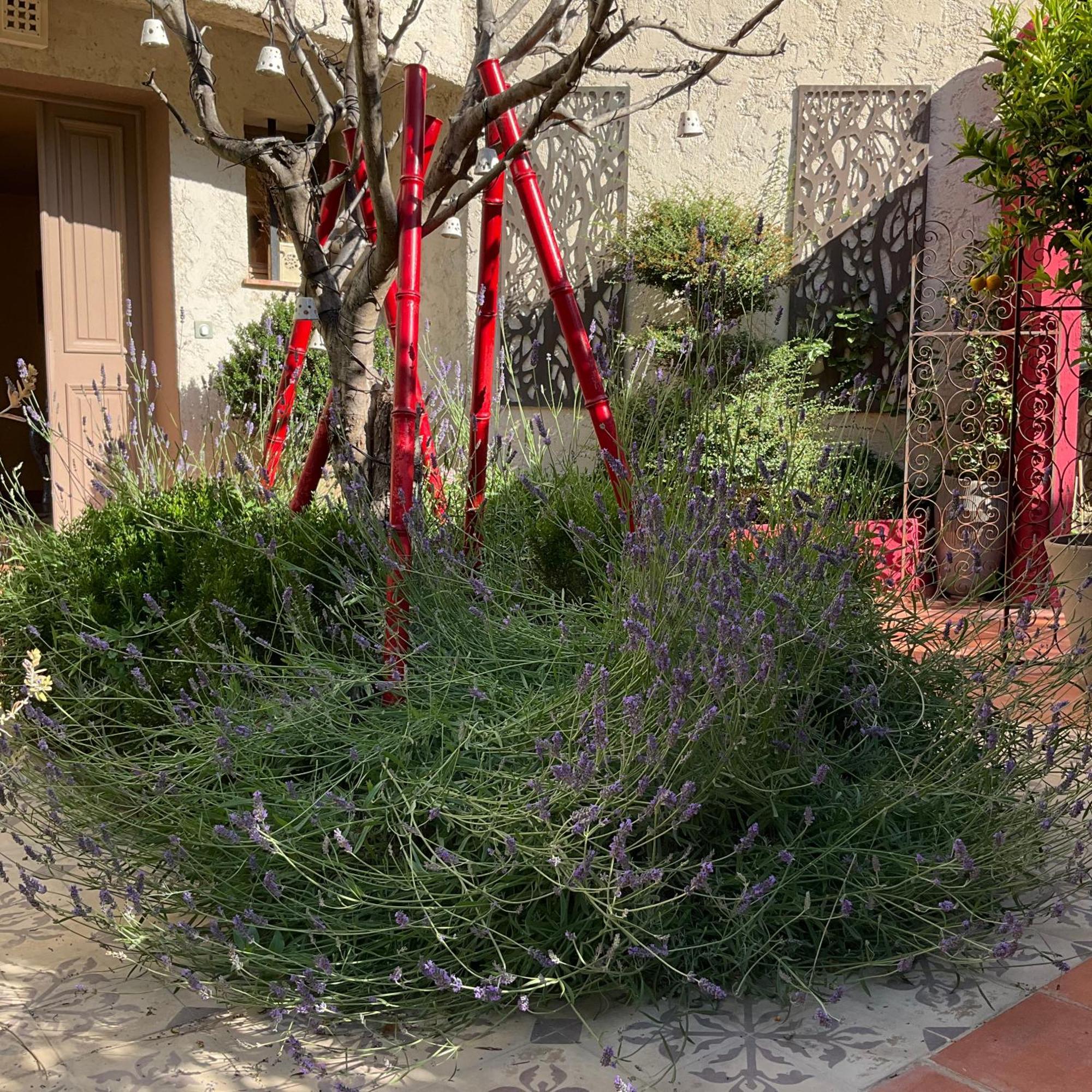 Mas De Provence En Riviera La Roquette-sur-Var Exterior foto