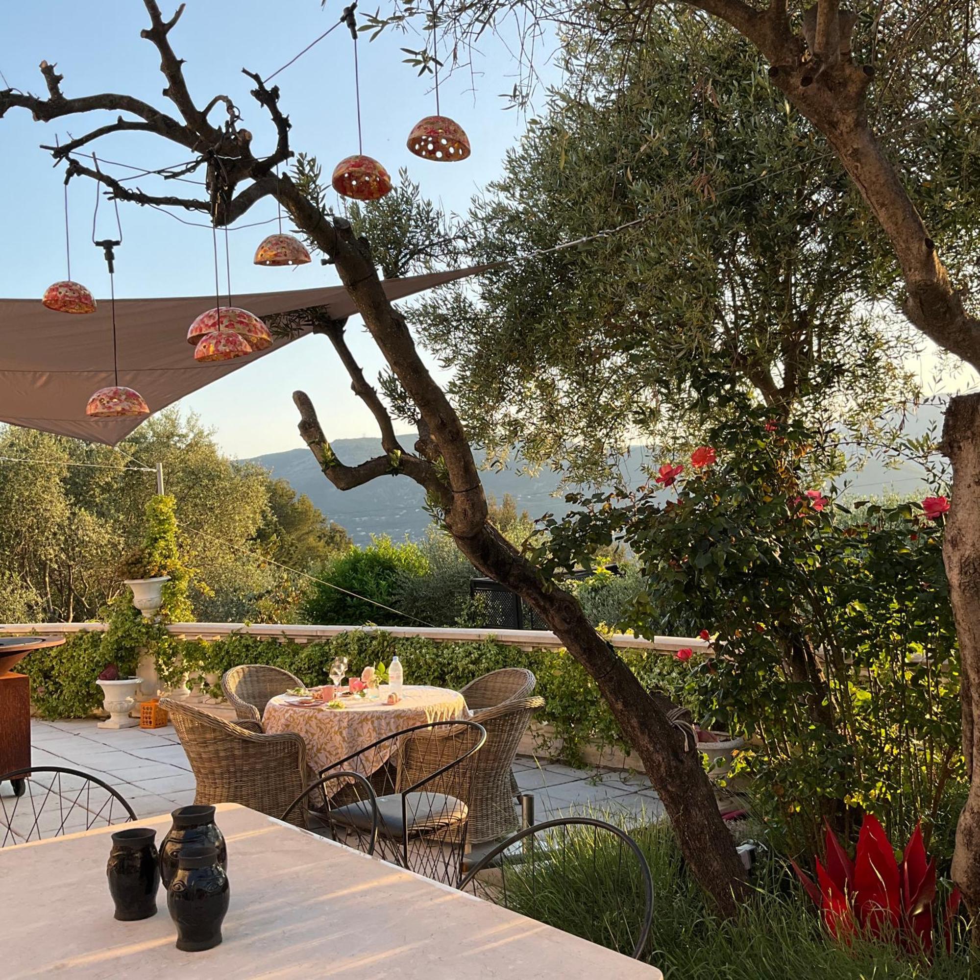 Mas De Provence En Riviera La Roquette-sur-Var Exterior foto